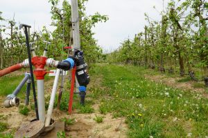 Grundlagen der Beregnungstechnik