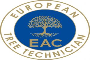 Zertifizierter European Tree Technican (ETT)